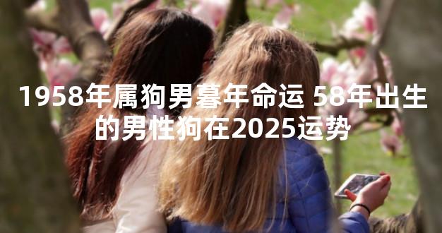1958年属狗男暮年命运 58年出生的男性狗在2025运势